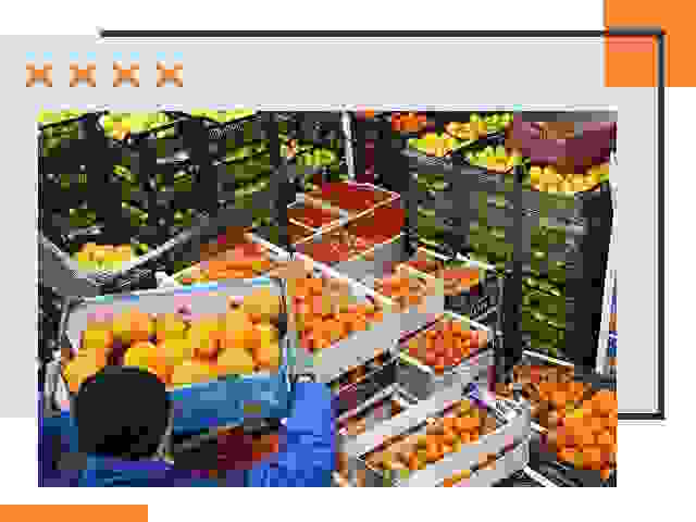Перевозка скоропортящихся продуктов в Клинцах